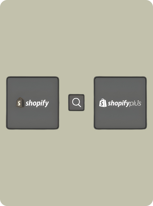 Building and Scaling Your Ecommerce Brand with Shopify and Shopify Plus