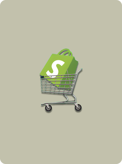 Shopify Shopping Cart Integration: A Complete Guide for Seamless Checkout