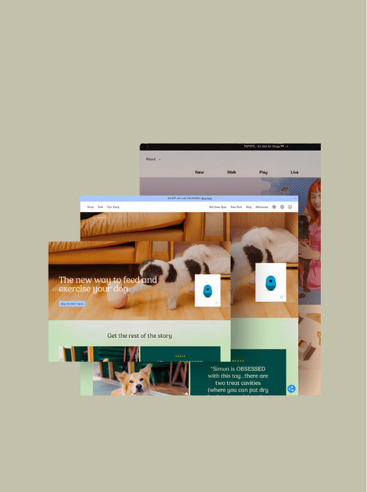 Luscious Leopard guide to building a successful Shopify pet store with strong branding, features, and customer-focused design