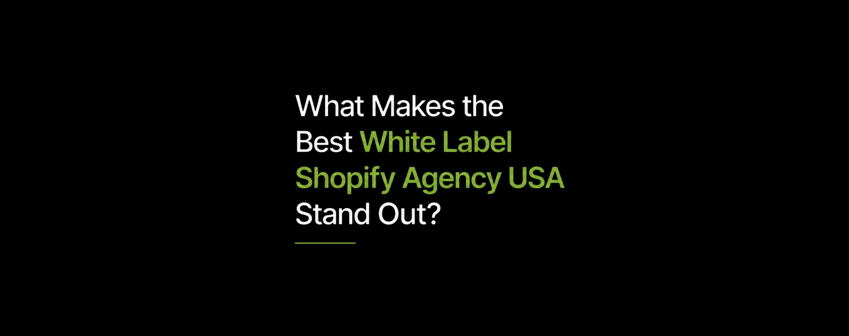 White label Shopify services for US agencies