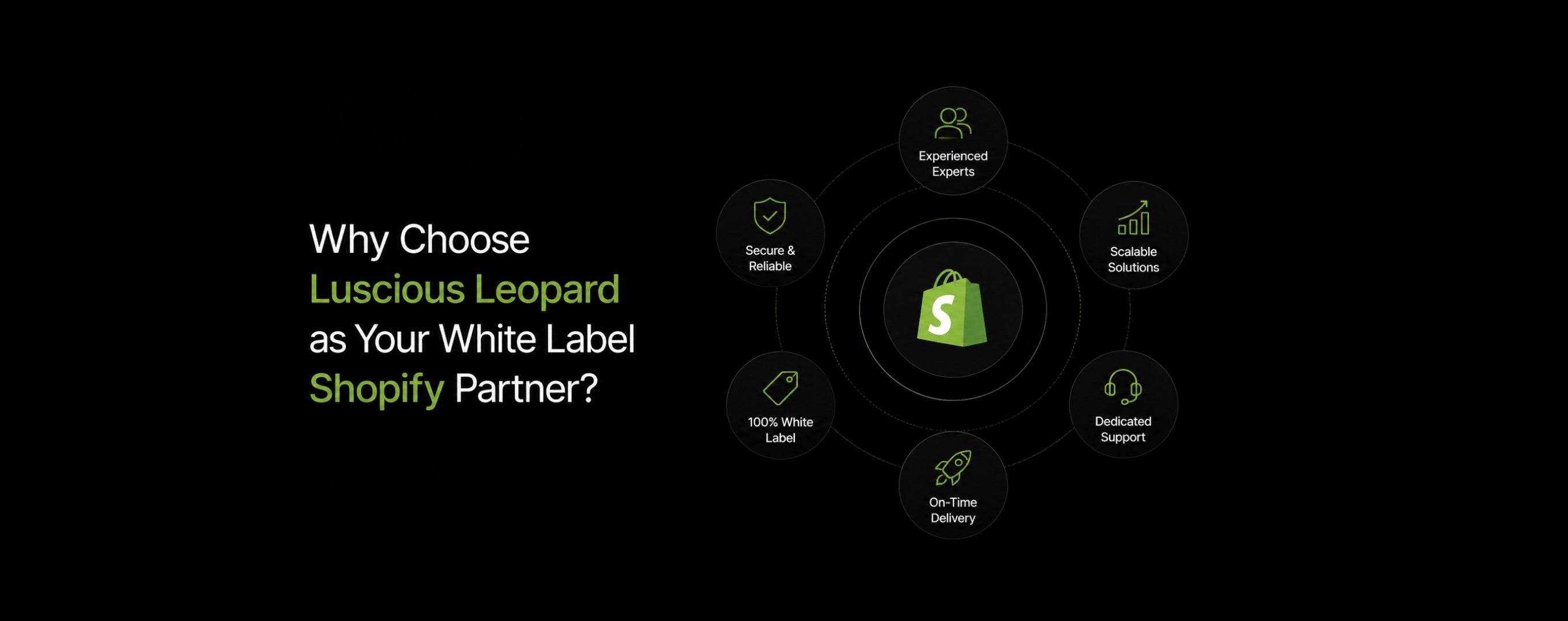 White label Shopify development solutions