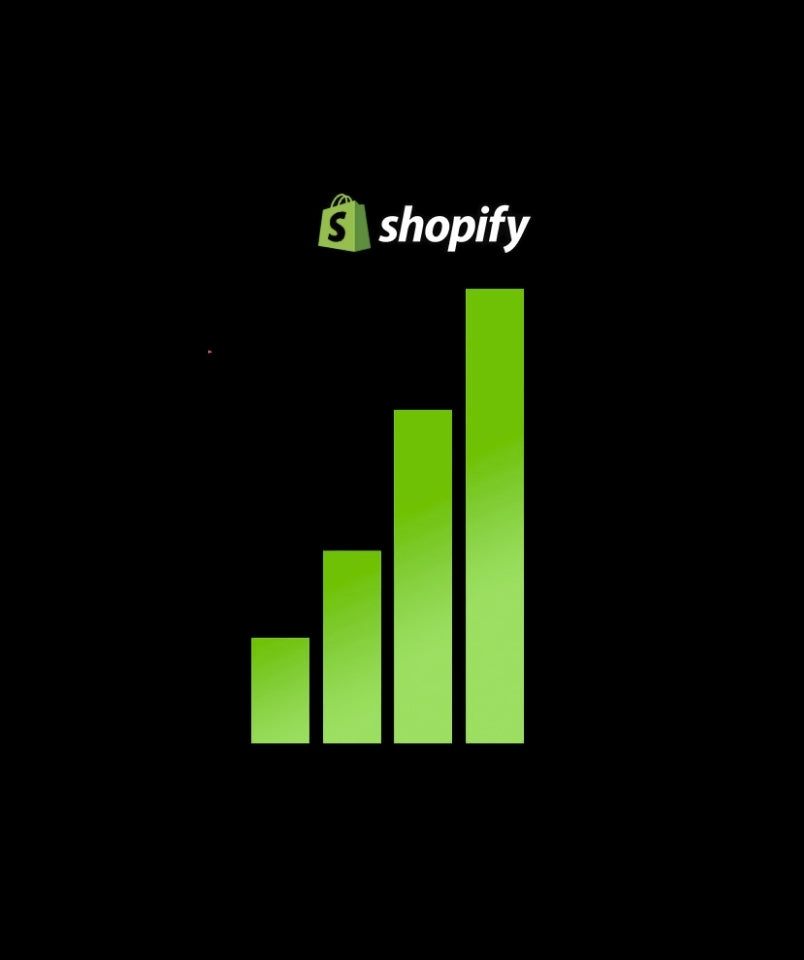 Advanced Shopify store customization process
