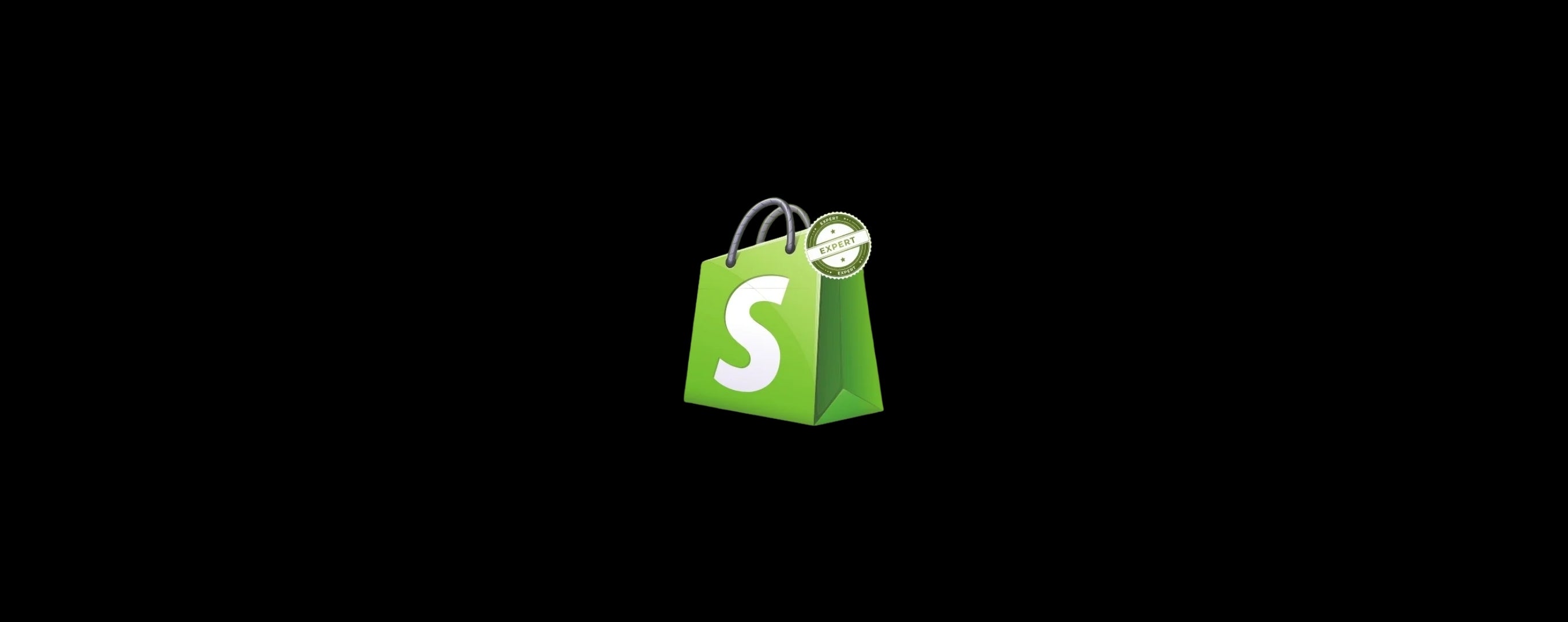 USA Shopify development experts building high performance ecommerce stores - Luscious Leopard