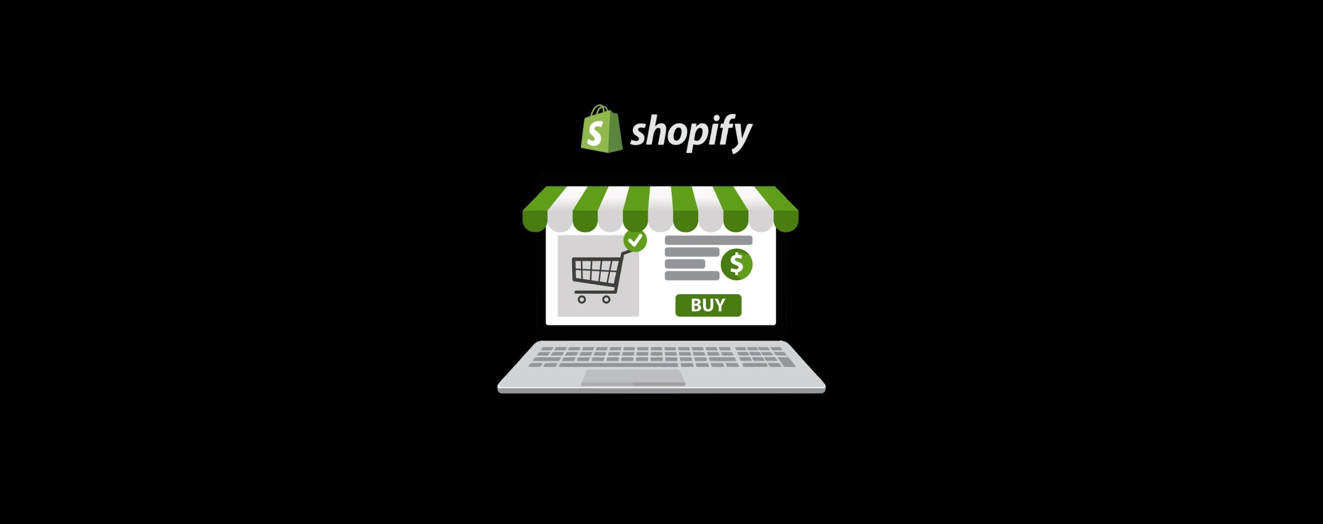 Shopify development agency USA creating scalable online stores - Luscious Leopard